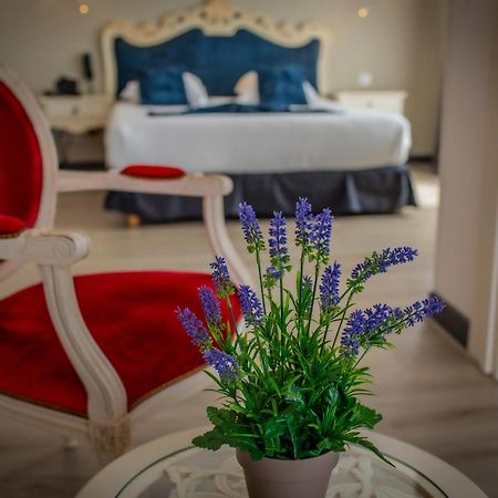 Alexain Hotel Restaurant & Wellness - Colmar Ouest Trois-Épis المظهر الخارجي الصورة