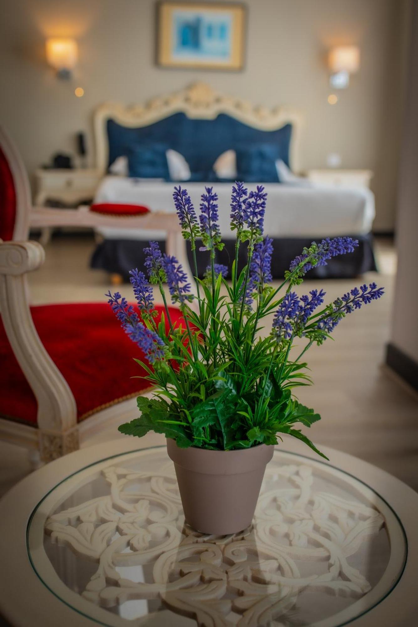 Alexain Hotel Restaurant & Wellness - Colmar Ouest Trois-Épis المظهر الخارجي الصورة